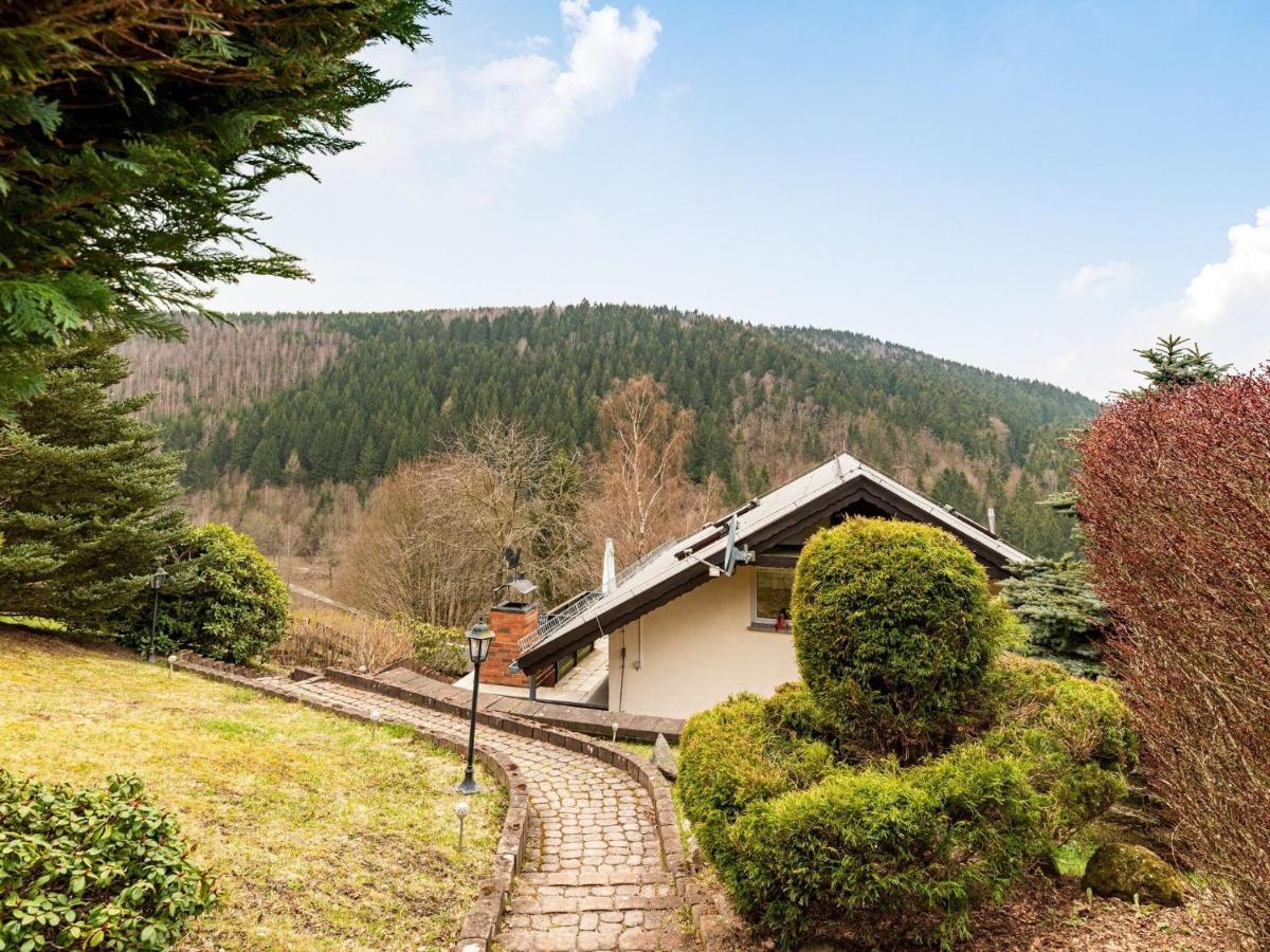 Majestic Holiday Home With Jacuzzi Unterschönau المظهر الخارجي الصورة